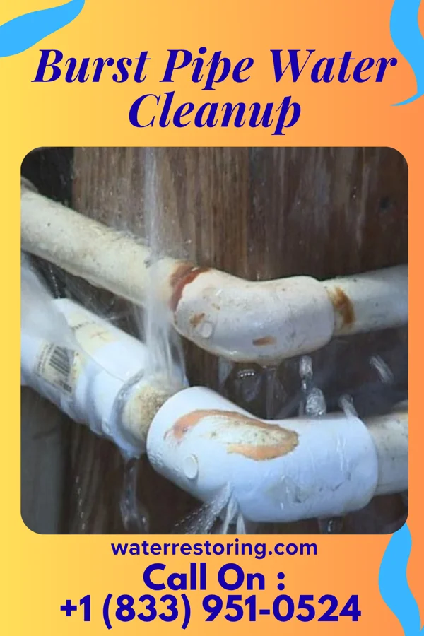 Burst Pipe Water Cleanup in Durant, MS
