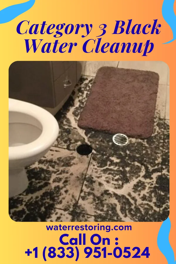 Category 3 Black Water Cleanup in Durant, MS
