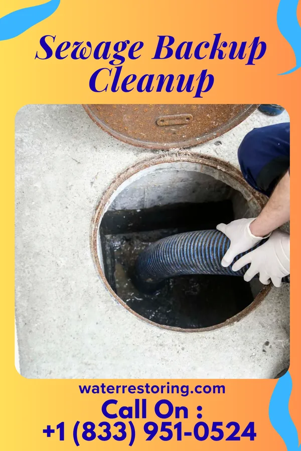 Sewage Backup Cleanup in Durant, MS